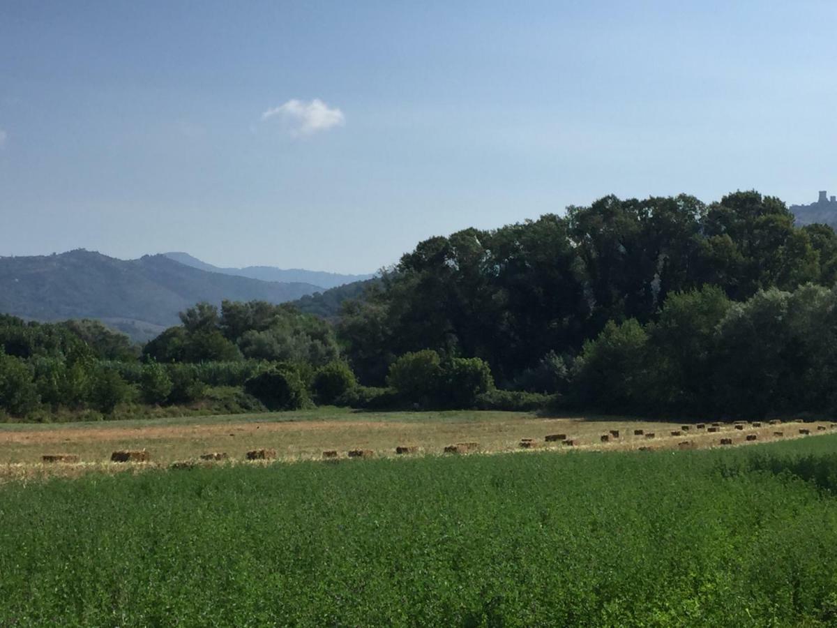 B&B La Nonnina Del Cilento Casal Velino Eksteriør bilde