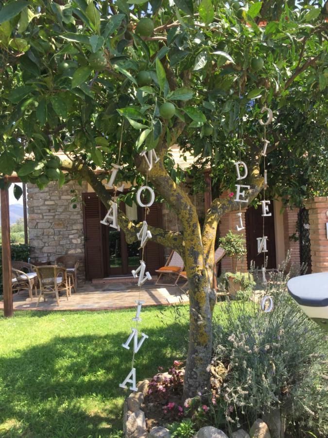 B&B La Nonnina Del Cilento Casal Velino Eksteriør bilde