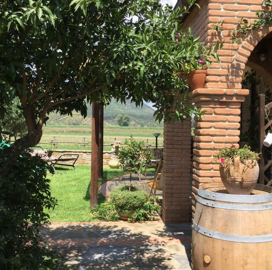 B&B La Nonnina Del Cilento Casal Velino Eksteriør bilde